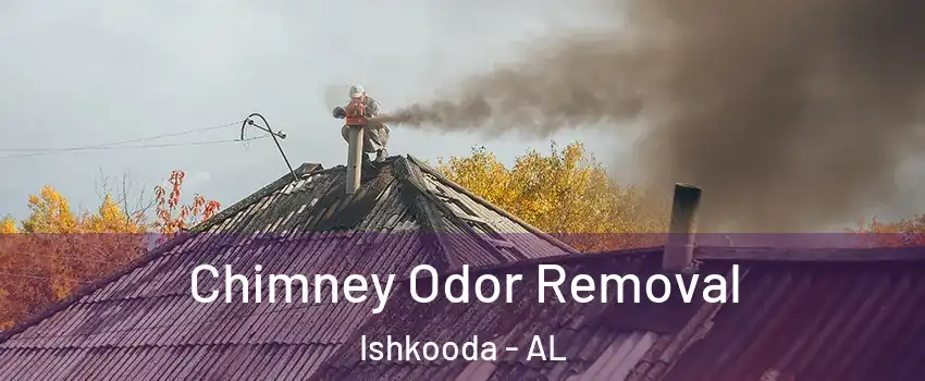 Chimney Odor Removal Ishkooda - AL