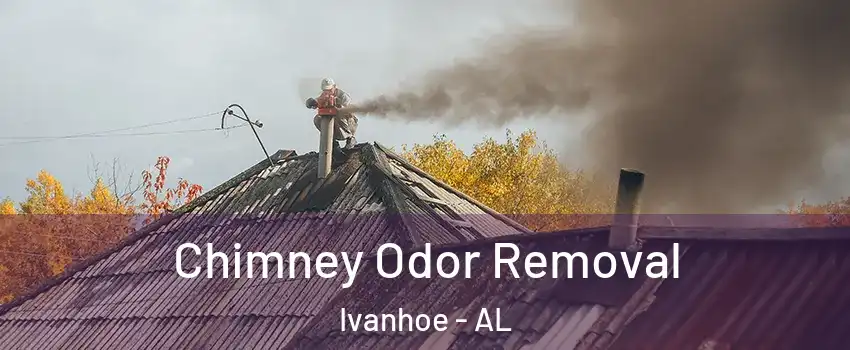 Chimney Odor Removal Ivanhoe - AL