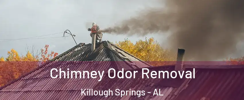 Chimney Odor Removal Killough Springs - AL