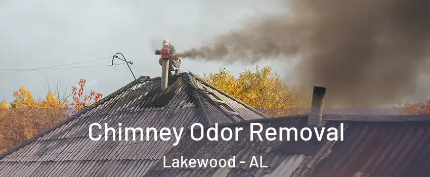 Chimney Odor Removal Lakewood - AL