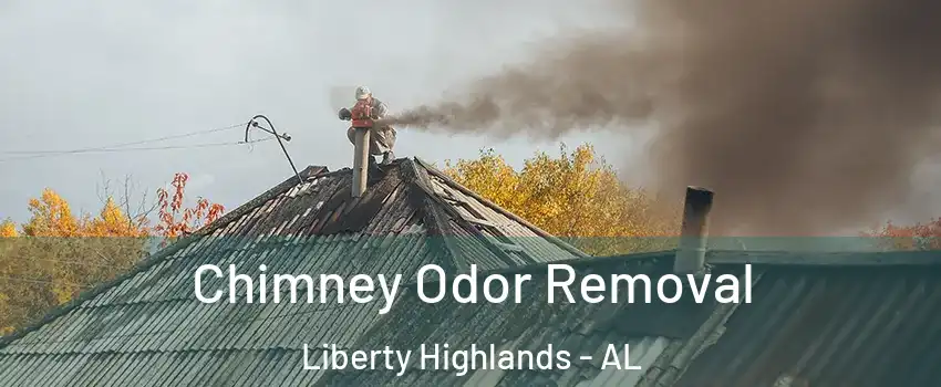 Chimney Odor Removal Liberty Highlands - AL