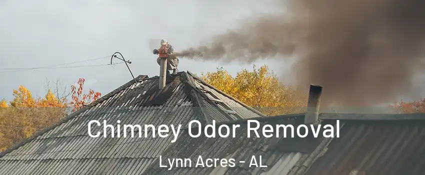 Chimney Odor Removal Lynn Acres - AL