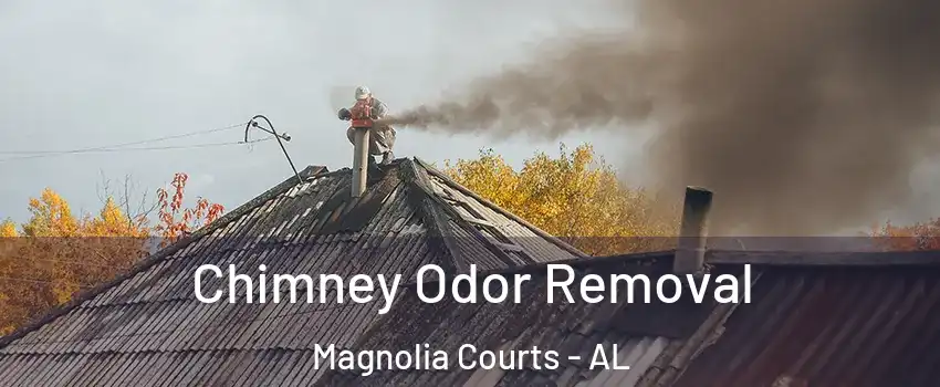 Chimney Odor Removal Magnolia Courts - AL