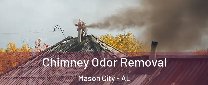 Chimney Odor Removal Mason City - AL