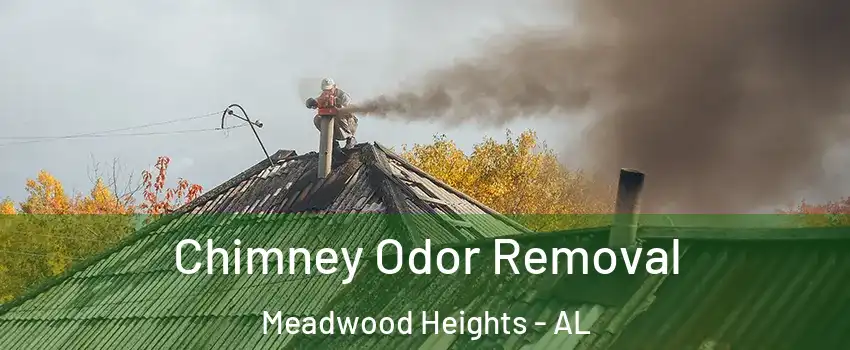 Chimney Odor Removal Meadwood Heights - AL