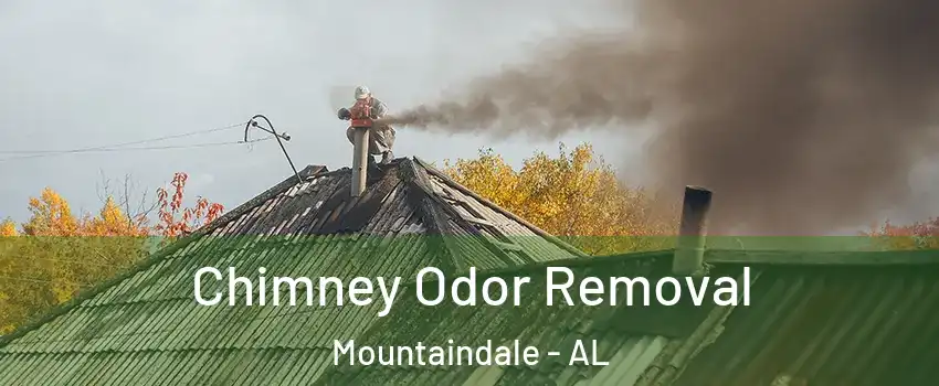Chimney Odor Removal Mountaindale - AL