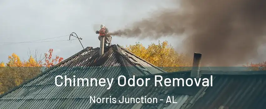 Chimney Odor Removal Norris Junction - AL
