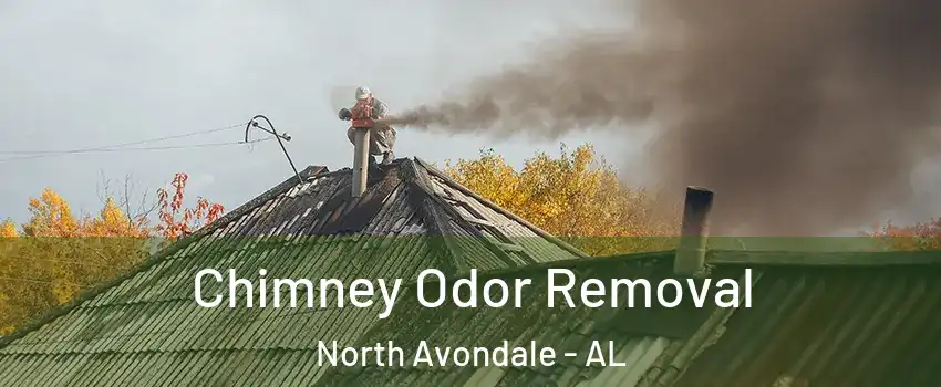 Chimney Odor Removal North Avondale - AL
