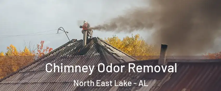 Chimney Odor Removal North East Lake - AL
