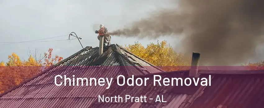 Chimney Odor Removal North Pratt - AL