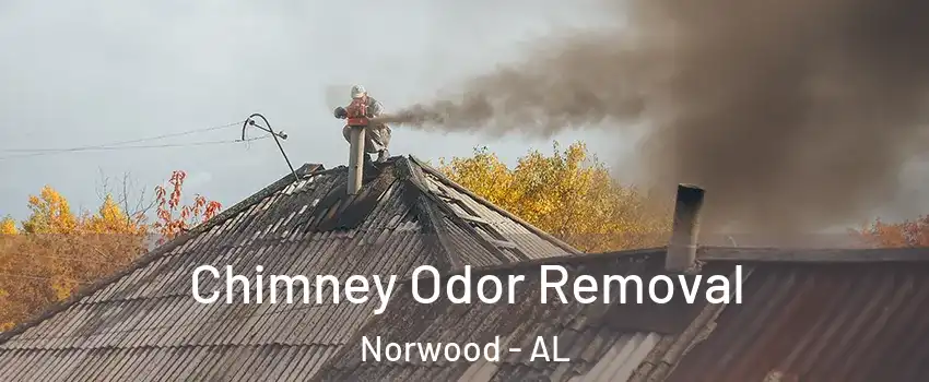 Chimney Odor Removal Norwood - AL