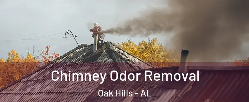 Chimney Odor Removal Oak Hills - AL