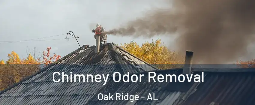 Chimney Odor Removal Oak Ridge - AL