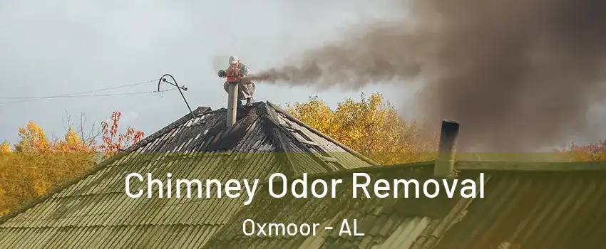 Chimney Odor Removal Oxmoor - AL