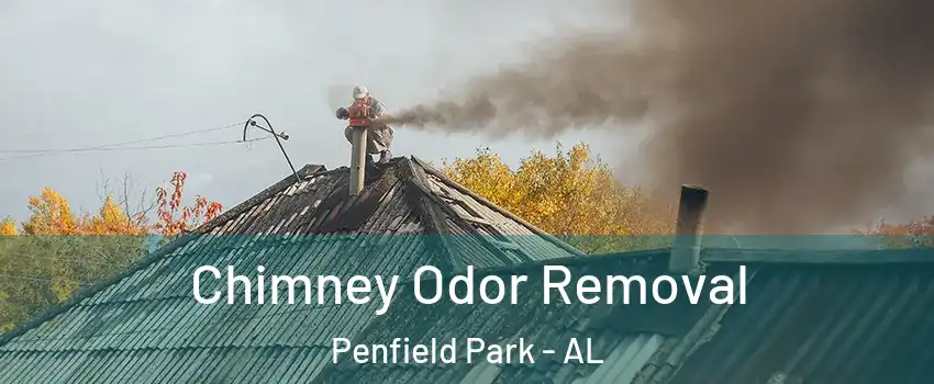 Chimney Odor Removal Penfield Park - AL
