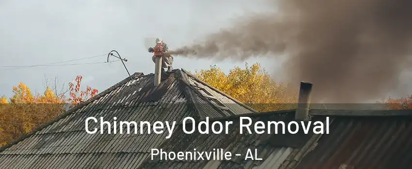 Chimney Odor Removal Phoenixville - AL