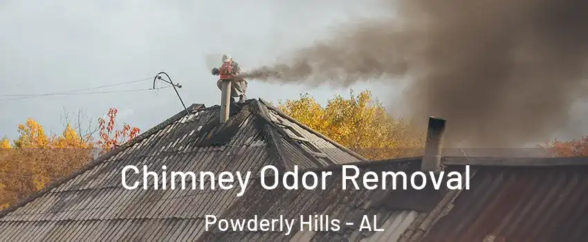 Chimney Odor Removal Powderly Hills - AL
