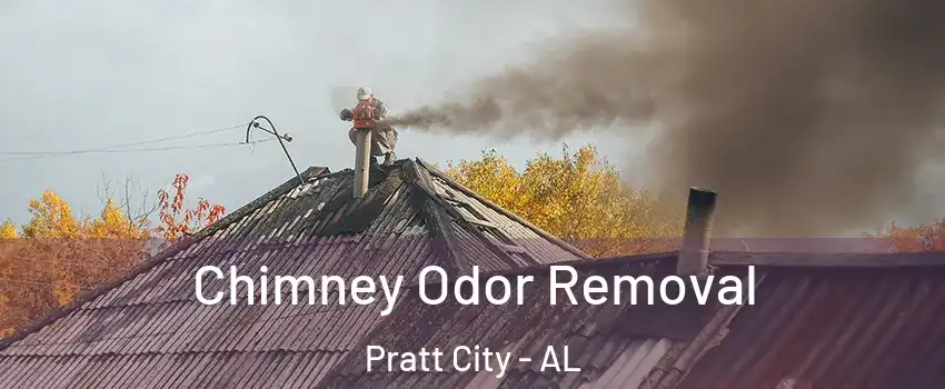 Chimney Odor Removal Pratt City - AL