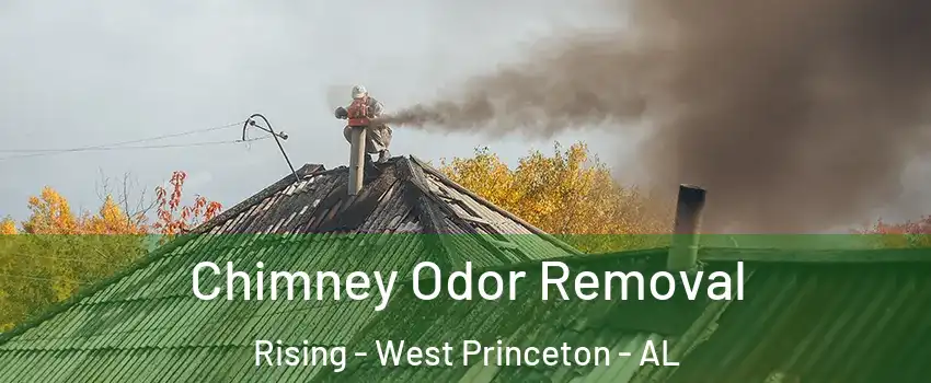 Chimney Odor Removal Rising - West Princeton - AL