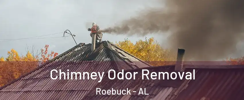 Chimney Odor Removal Roebuck - AL
