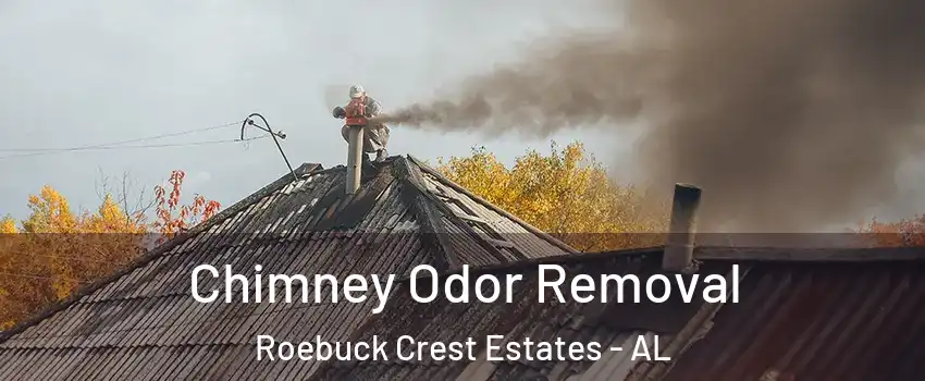 Chimney Odor Removal Roebuck Crest Estates - AL