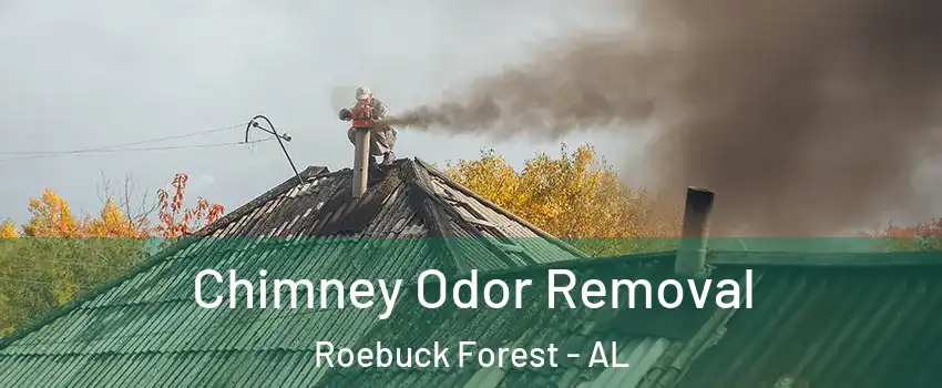 Chimney Odor Removal Roebuck Forest - AL