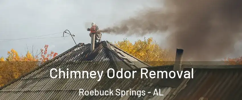 Chimney Odor Removal Roebuck Springs - AL