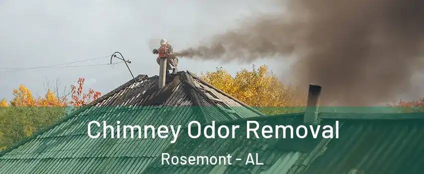 Chimney Odor Removal Rosemont - AL
