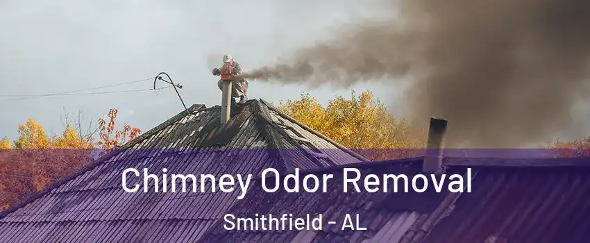 Chimney Odor Removal Smithfield - AL
