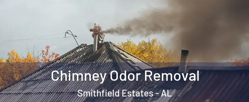 Chimney Odor Removal Smithfield Estates - AL