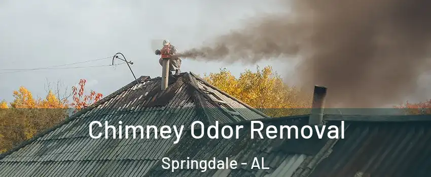 Chimney Odor Removal Springdale - AL