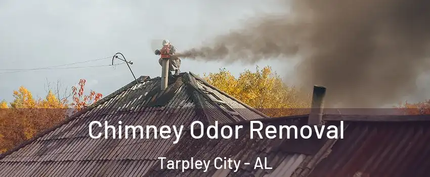 Chimney Odor Removal Tarpley City - AL