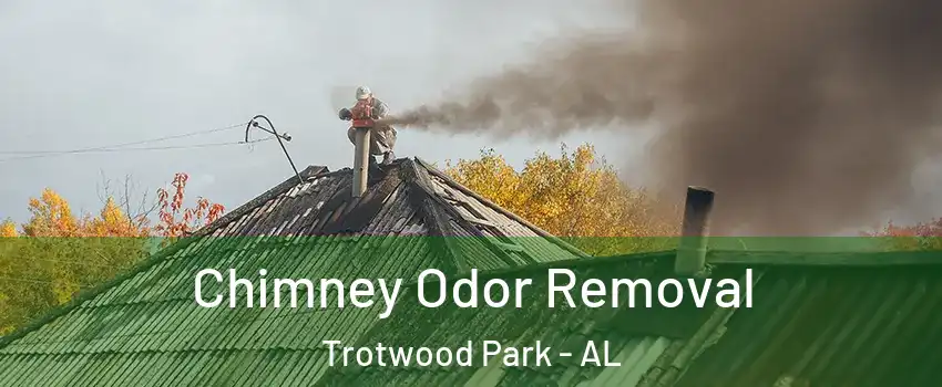 Chimney Odor Removal Trotwood Park - AL
