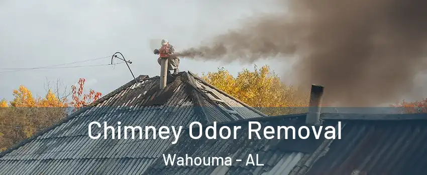 Chimney Odor Removal Wahouma - AL