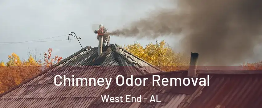 Chimney Odor Removal West End - AL