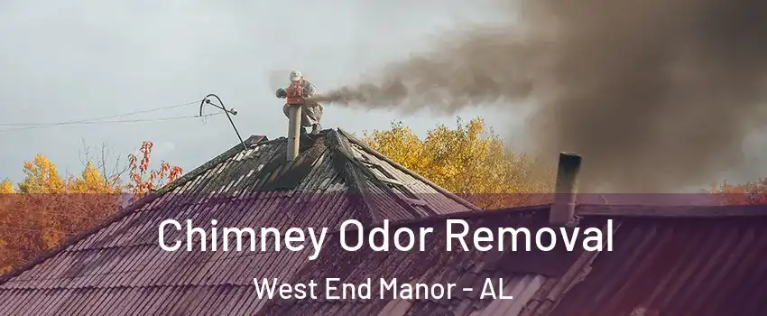 Chimney Odor Removal West End Manor - AL