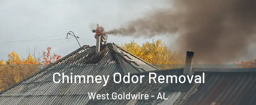 Chimney Odor Removal West Goldwire - AL