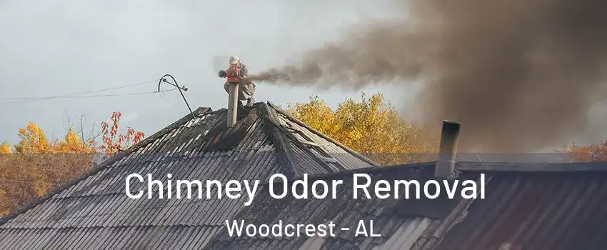 Chimney Odor Removal Woodcrest - AL
