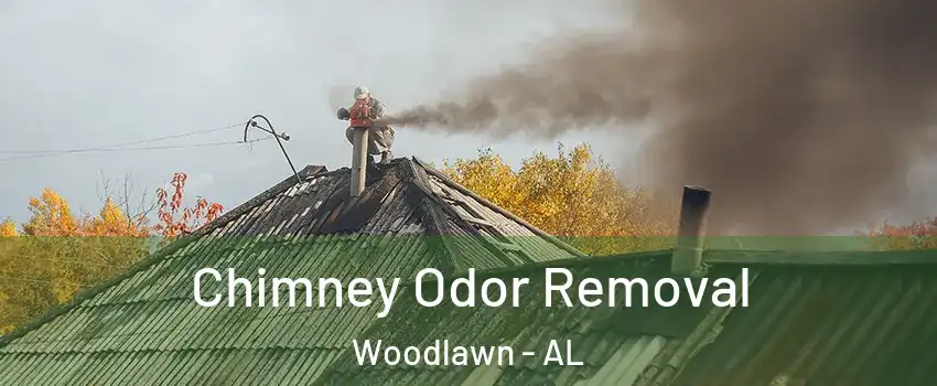 Chimney Odor Removal Woodlawn - AL