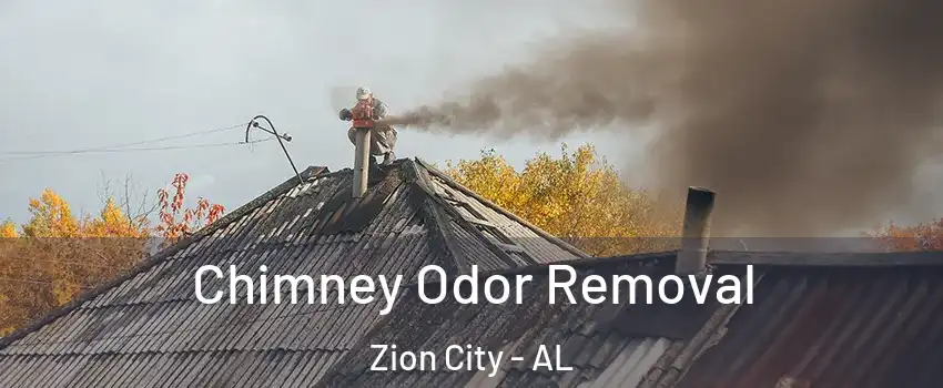 Chimney Odor Removal Zion City - AL