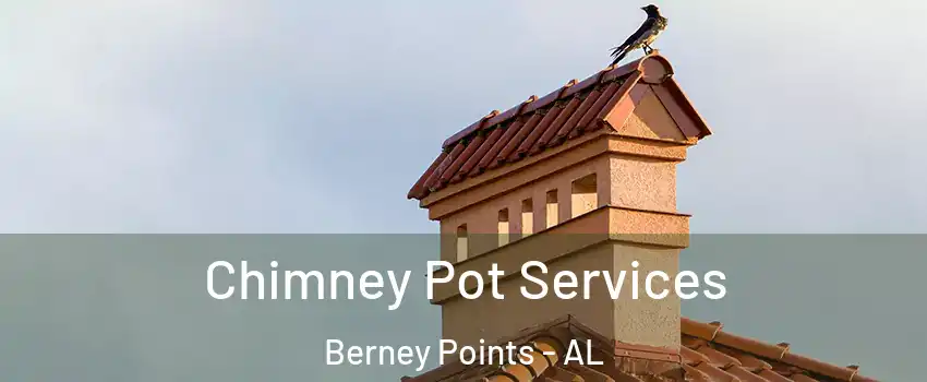 Chimney Pot Services Berney Points - AL