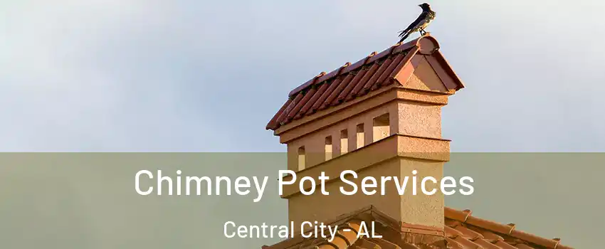 Chimney Pot Services Central City - AL