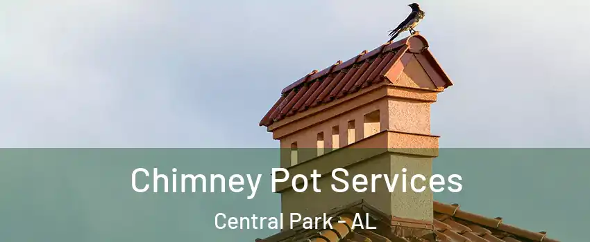 Chimney Pot Services Central Park - AL