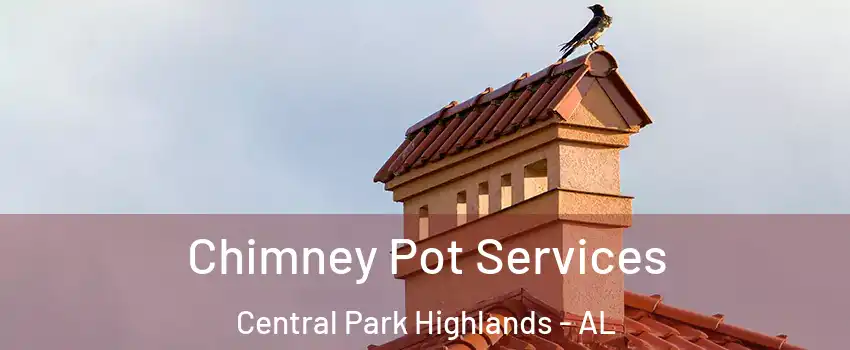 Chimney Pot Services Central Park Highlands - AL