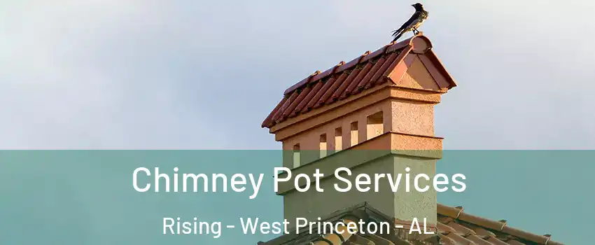 Chimney Pot Services Rising - West Princeton - AL