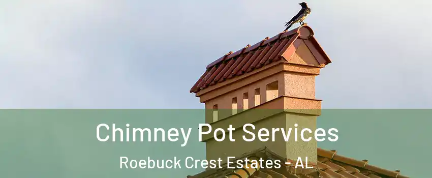 Chimney Pot Services Roebuck Crest Estates - AL