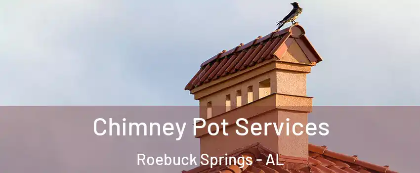 Chimney Pot Services Roebuck Springs - AL