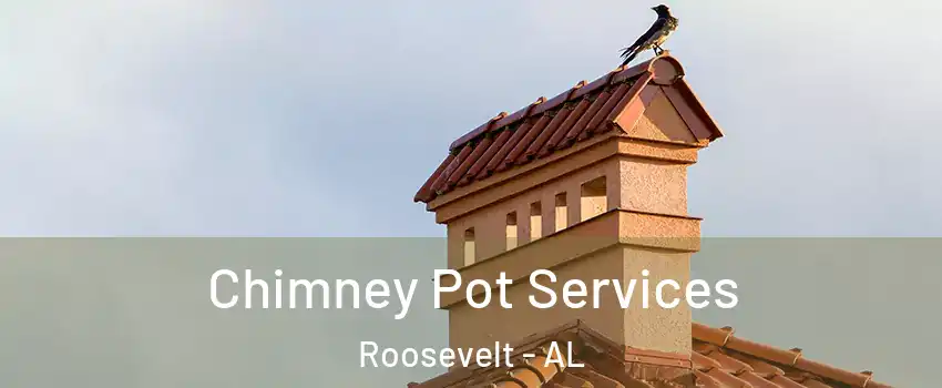 Chimney Pot Services Roosevelt - AL