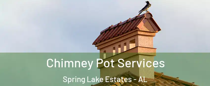 Chimney Pot Services Spring Lake Estates - AL