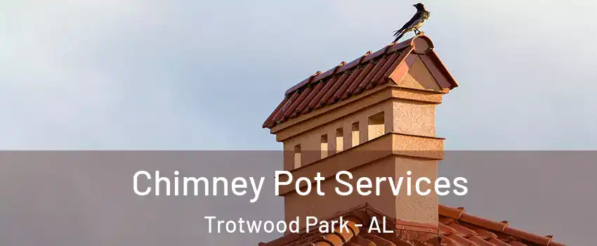 Chimney Pot Services Trotwood Park - AL